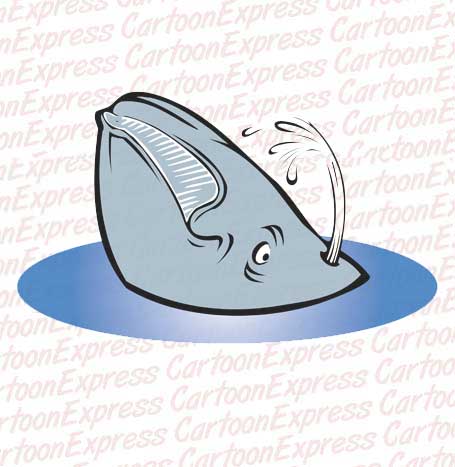 whale spouting